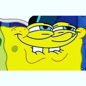 Meet your Posher, Bella